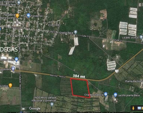 TERRENO EN VENTA 15.8 HAs EN BACA CON 386 mt DE FRENTE SOBRE CARRETERA